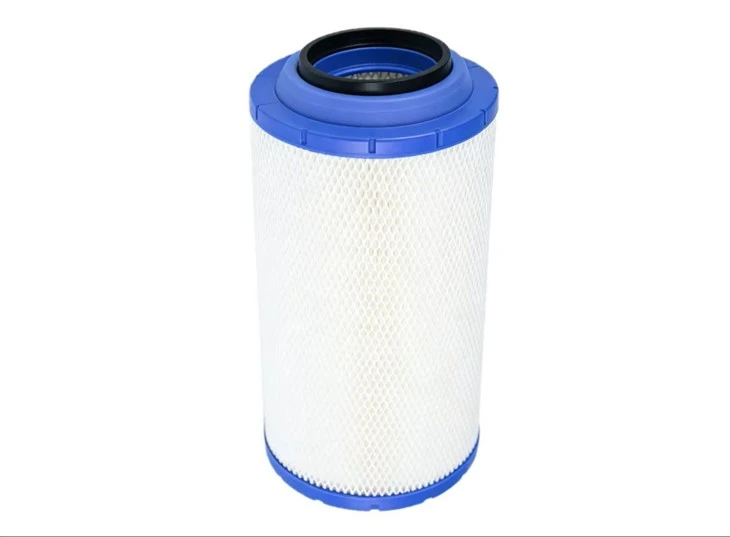 BỘ LỌC KHÔNG KHÍ WG9725190102